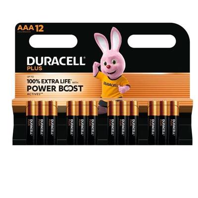 DURACELL PLUS POWERBOOST MINISTILO AAA CONF.12 PZ.